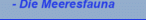 - Die Meeresfauna