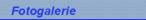 Fotogalerie