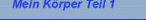 Mein Körper Teil 1