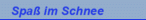 Spaß im Schnee